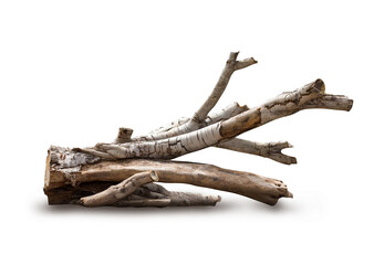 Driftwood tree stump on white background