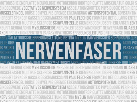 Nervenfaser