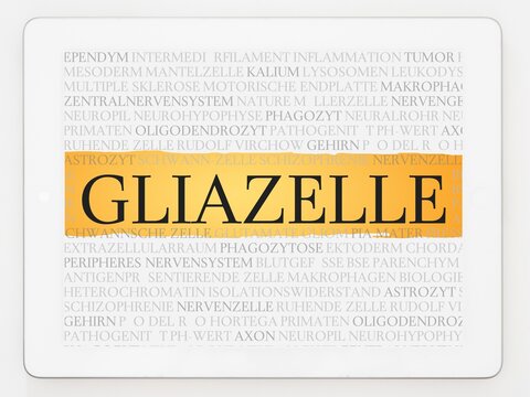 Gliazelle