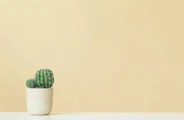 Rolgordijnen Cactus on a yellow background © Tierney