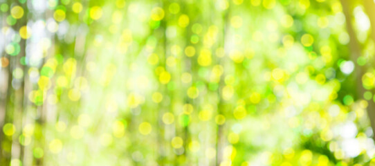Fototapeta premium Tropical, vacation, summer blurred background
