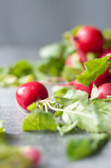 Organic Fresh Radishes