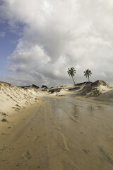 Fototapeta na wymiar Genipabu Dunes in Natal, RN, Brazil