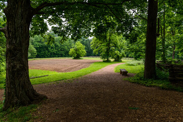 Country Scene