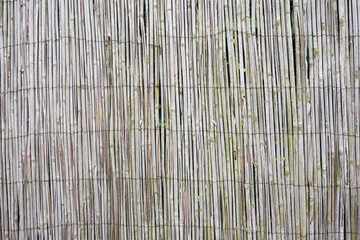 bamboo straw texture