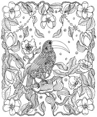 Toucan and flowers coloring page