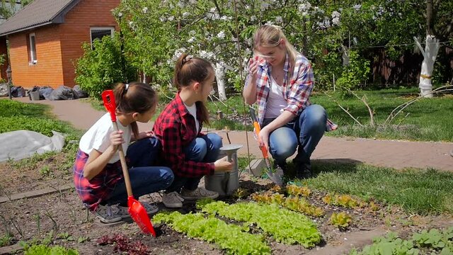 Slow motion video of happy family working in backyard garden