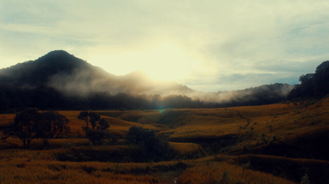 Morning Vibes in Tegal Panjang, Papandayan