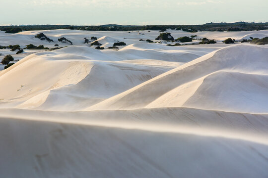 Landscape, beautiful view in layers of sand dunes and small trees background with shadow of light in western Australia.