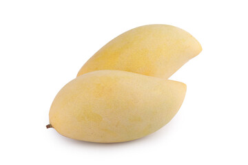 yellow mango fruit on white background