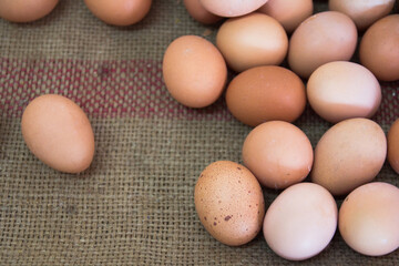 a lot of eggs with lonely one.