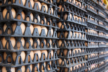 Freshly laid eggs stacked. eggs tray stack.