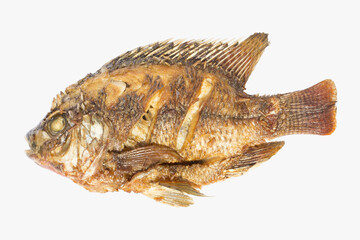 Fried Tilapia isolated white background.