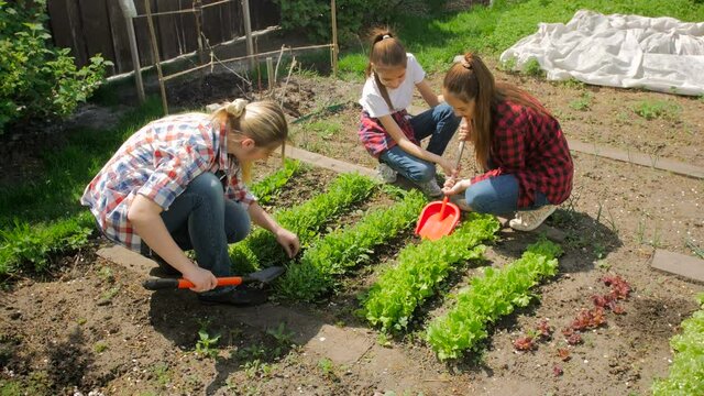 4K footage of family working in garden and spudding lettuce
