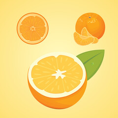 Vector collection of fresh ripe oranges and tangerines with leaves. vector orange.