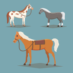 Collection of isolated horses. Cute cartoon horse farm animals. Differend breads