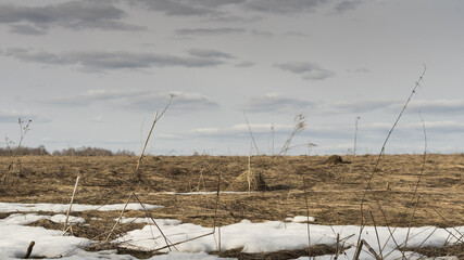 Last year's grass in the spring field.
