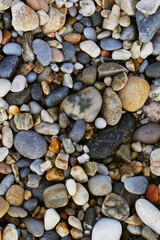  A close up view of smooth polished multicolored stones washed a