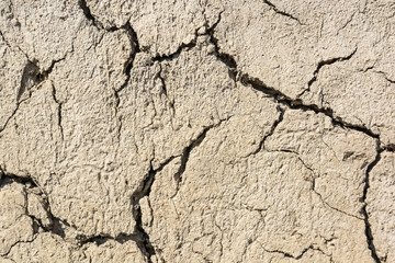 Cracked dry land in a desert