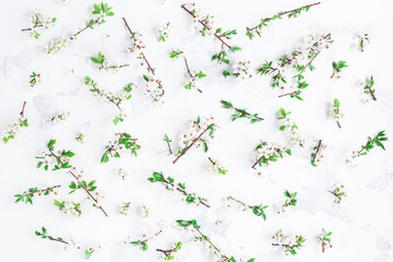 Flowers composition. Pattern made of apple tree flowers on white background. Flat lay, top view