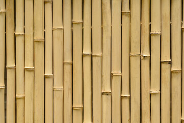 Bamboo poles arranged as a background.
