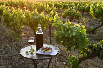 apéro vignes © odilepascal