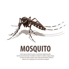 Mosquito