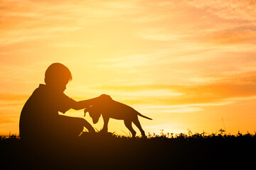 Silhouette child playing with dogs, Concept play with dog.