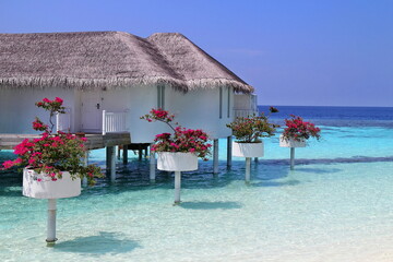 Beautiful island with pristine coral reef, white sand beaches and water villas in Maldive island.