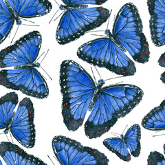 Blue morpho butterflies pattern design on white background. Watercolor painting.