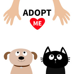 Human hand. Adopt me. Dont buy. Dog Cat Pet adoption. Puppy pooch kitty cat looking up to red heart. Flat design. Help homeless animal concept. White background. Isolated.