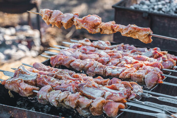 Marinated, diced pork meat fried on a grill.