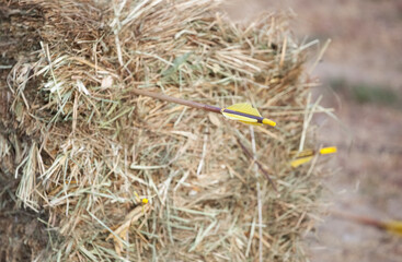 Arrows in bales of dry, golden hay in nature.