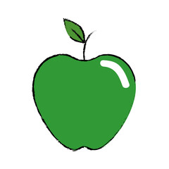 apple fruit food vector icon illustration graphic design