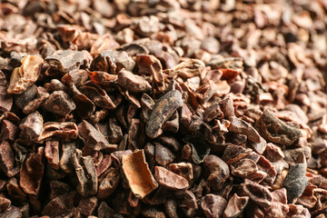 Crushed cocoa nibs, closeup