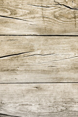 wood grungy background with space for your design