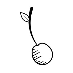 cherry fruit food vector icon illustration graphic design