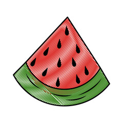 watermelon fruit food vector icon illustration graphic design