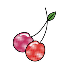 cherry fruit food vector icon illustration graphic design