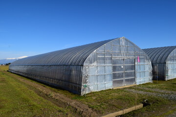 Obraz premium 農業用ビニールハウス