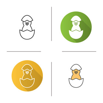 Newborn chicken icon