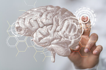 brain