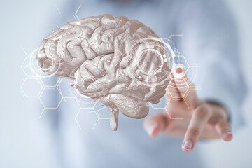 brain