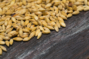 Paddy rice bale on wood background