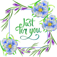 Wildflower crocuses  flower frame in a watercolor style isolated.