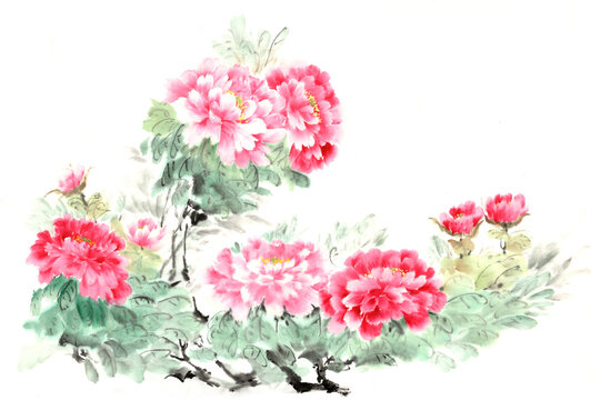 Chinese brush and ink traditional peony flowers
