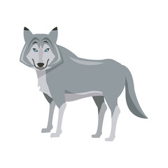 portrait of wolf. husky animal wildlife vector illustration