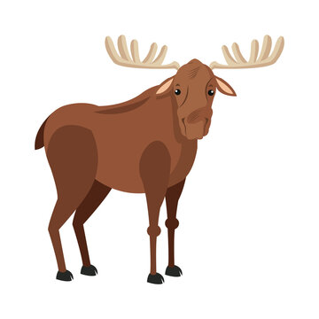 moose extant species antler, elk animal wild image vector illustration