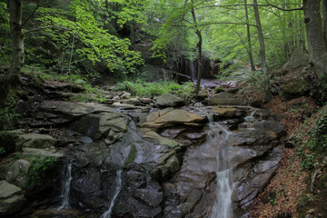Cascada en el bosque