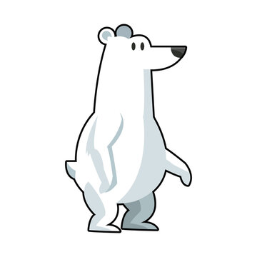 cartoon cute polar bear wild artic vector illustration